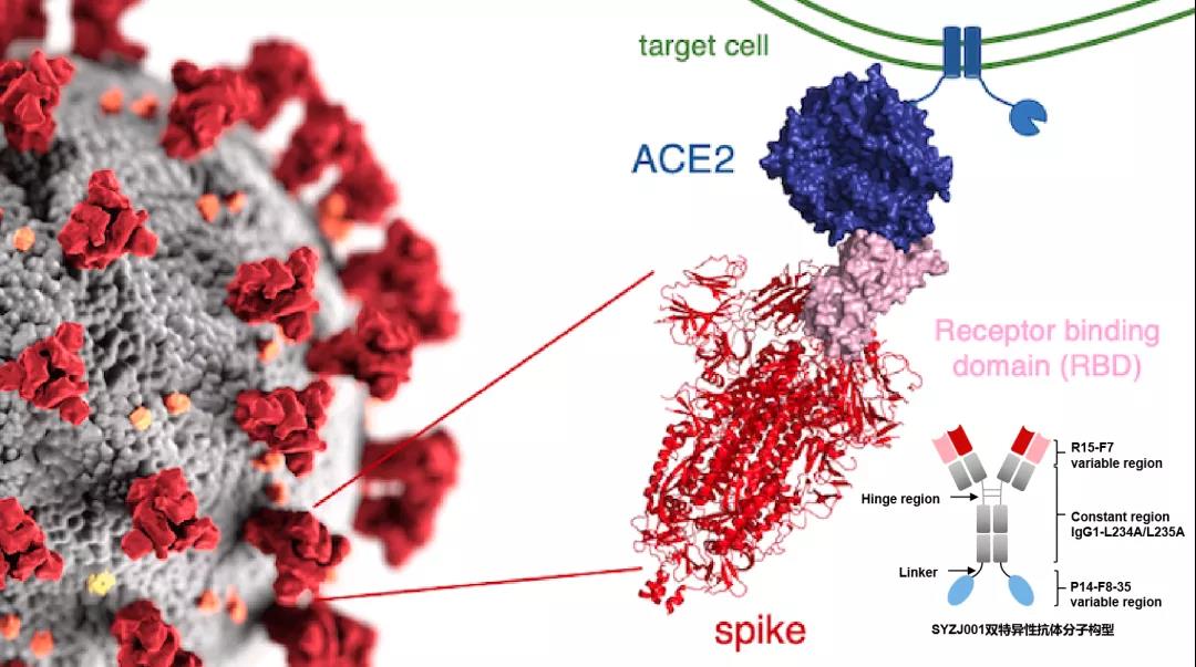 三优生物.jpg 三优生物.jpg